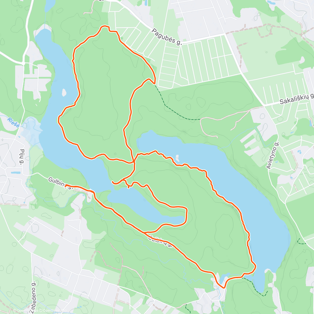 Map of the activity, Afternoon Run