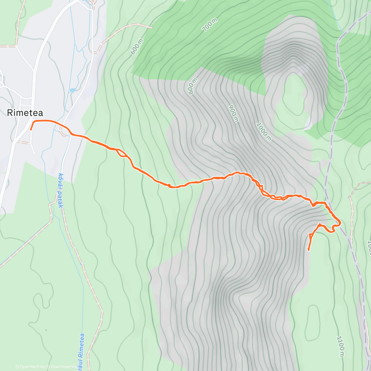 Карта физической активности (Coltii trascaului)