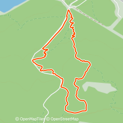 Goats -> Grizzly Bear -> AK DNR | 3.8 mi Mountain Biking Trail on Strava
