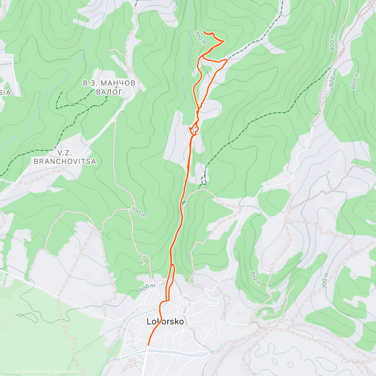 Map of the activity, Afternoon Hike