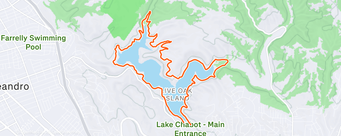 Карта физической активности (Morning Run)