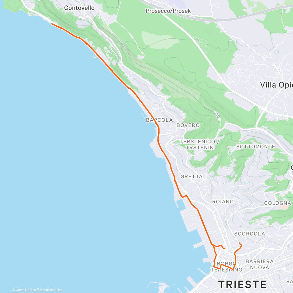 Карта физической активности (2026 ❤️)