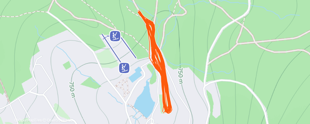 Карта физической активности (Skate prokládaný DP)