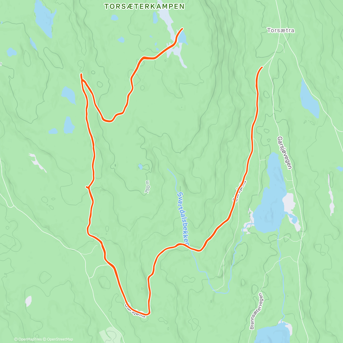 Map of the activity, Lunch Nordic Ski