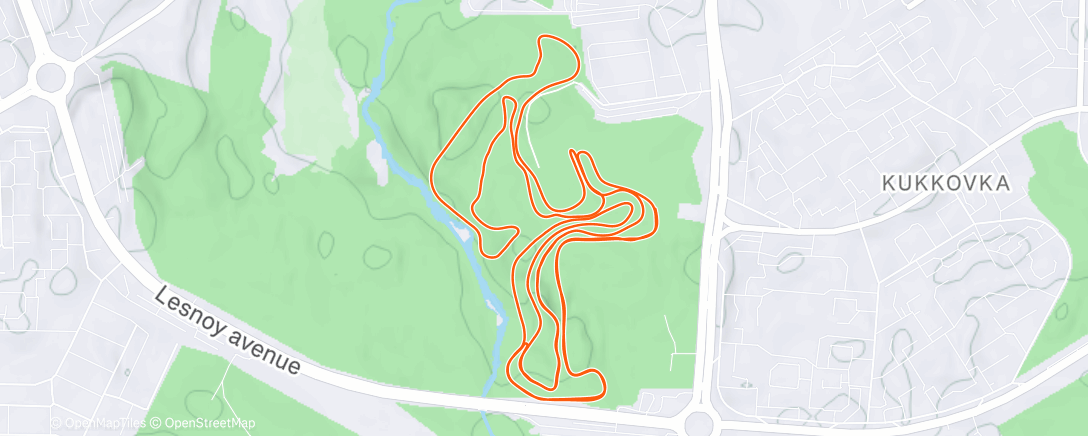 Карта физической активности (Evening Nordic Ski)