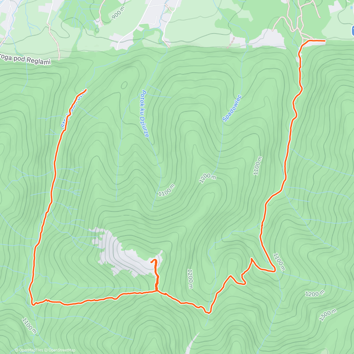 Карта физической активности (Morning Hike)