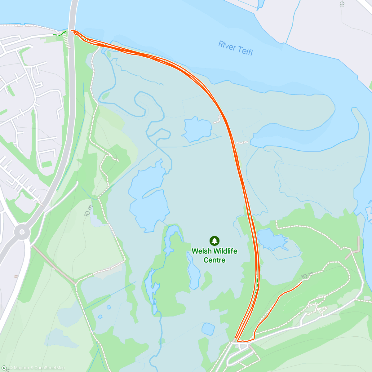 Map of the activity, Teifi marshes nature reserve parkrun #79