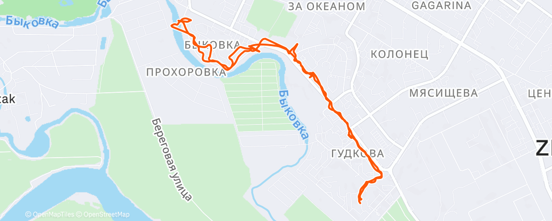 Карта физической активности (Полуденный забег)