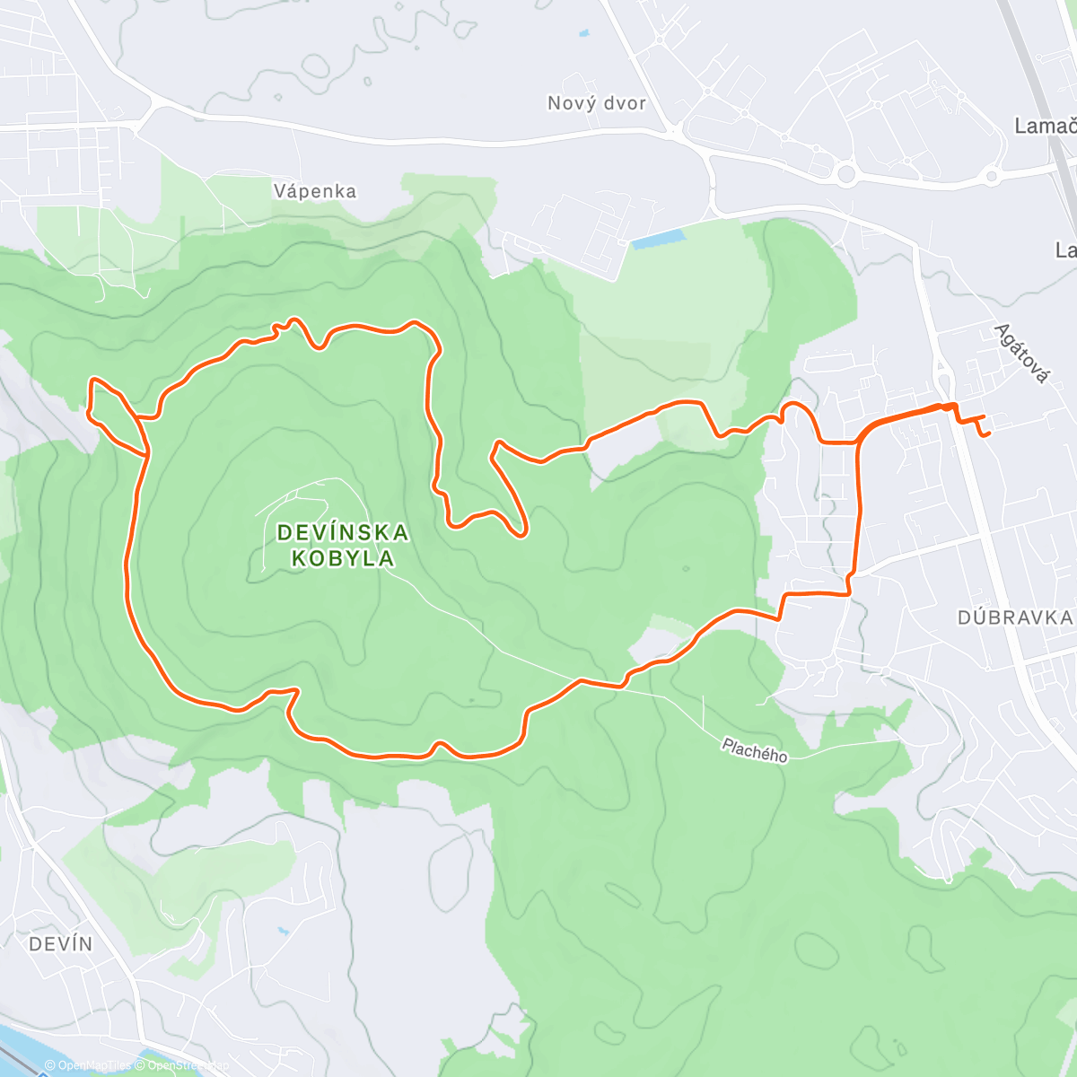 Карта физической активности (Morning Ride)