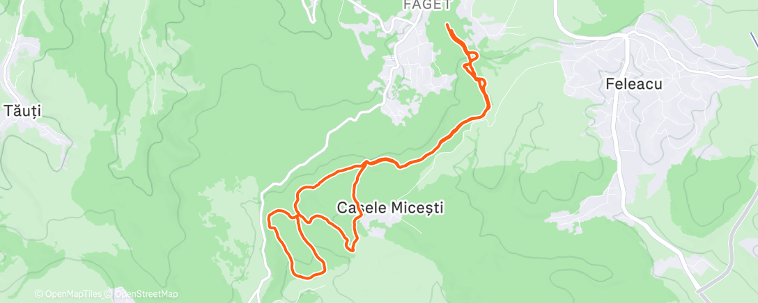 Map of the activity, Morning Trail Run