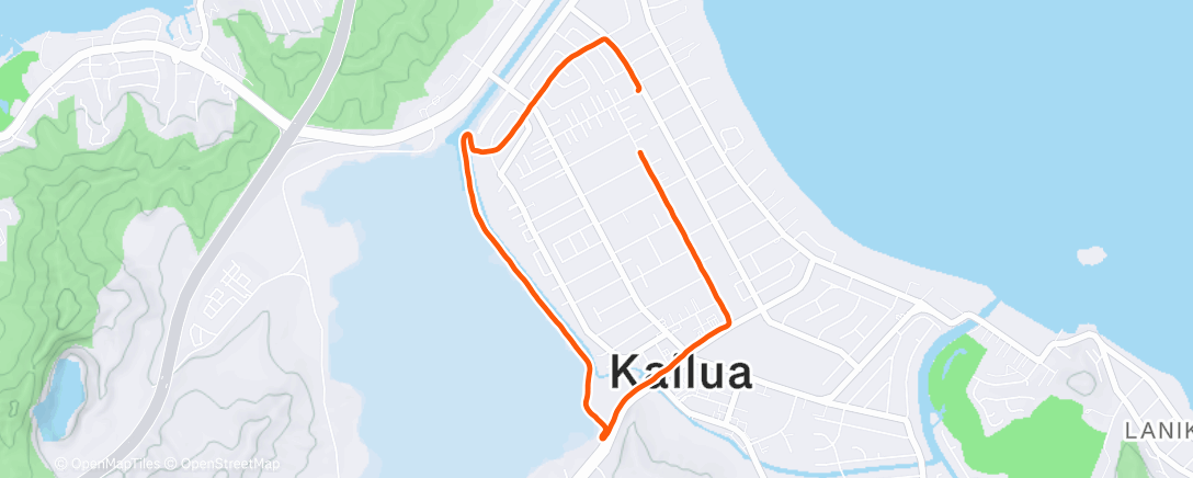Map of the activity, Morning Run