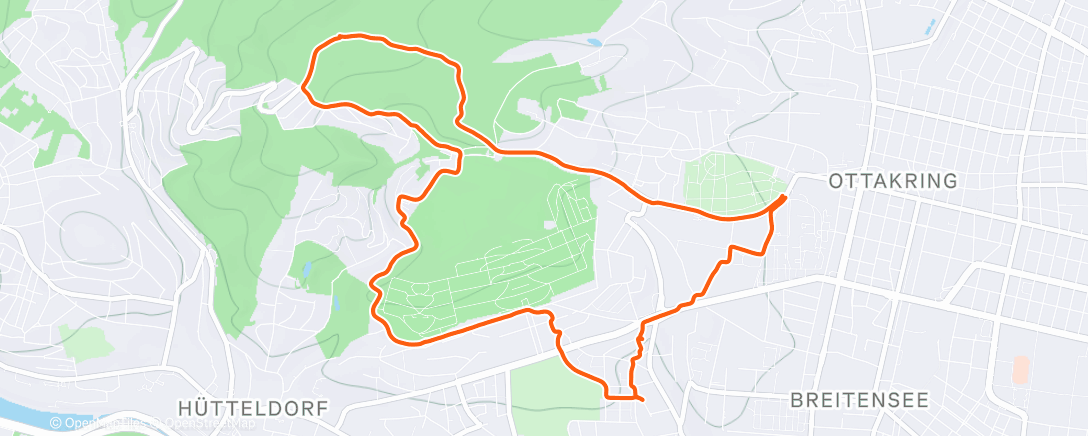 Карта физической активности (Evening Run)