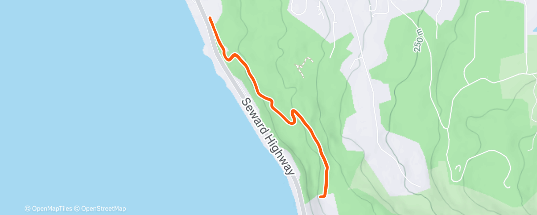 Map of the activity, Dog Walk ❄️