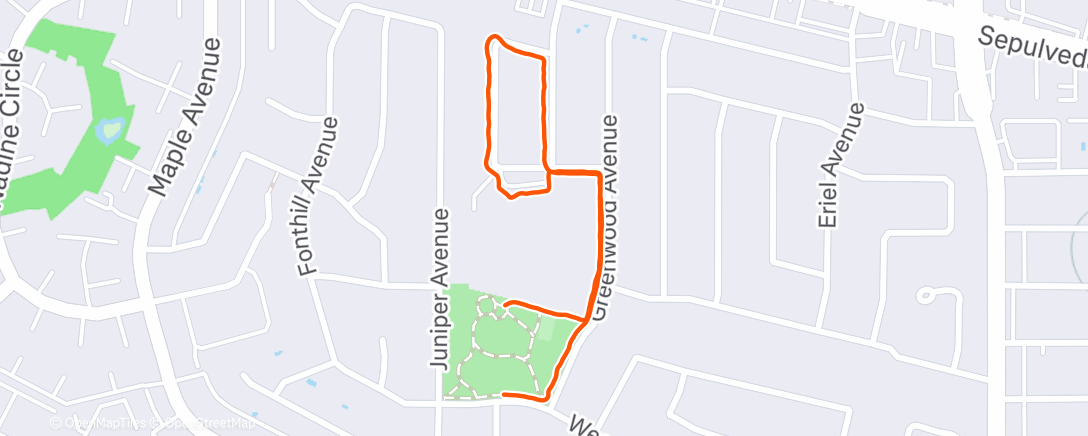 Карта физической активности (Afternoon Walk)