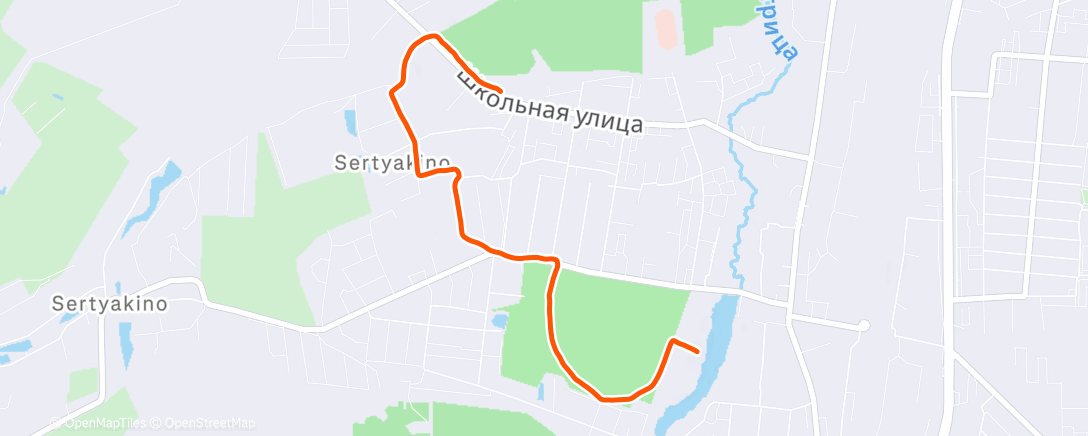 Карта физической активности (Утренний забег)