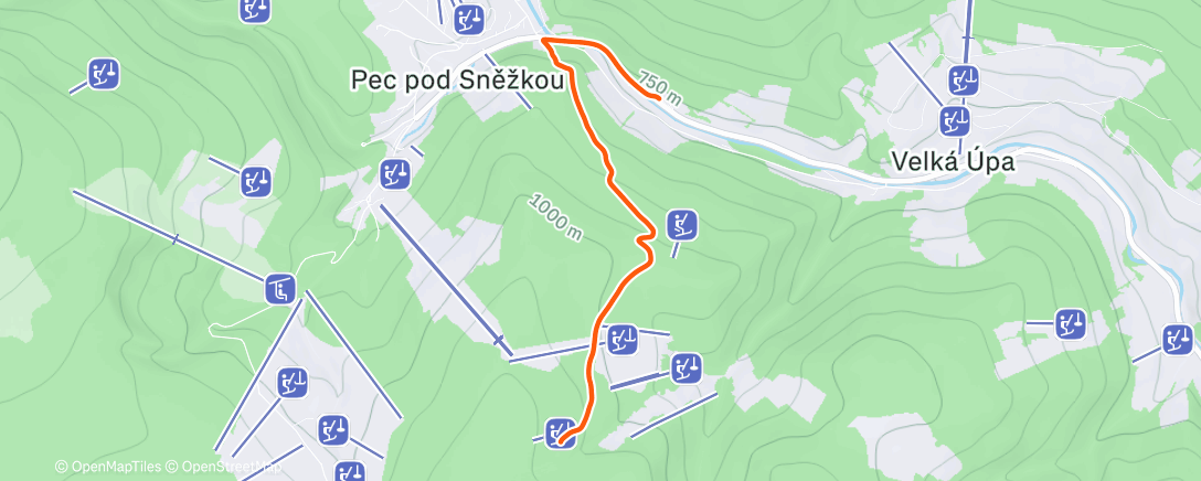 Карта физической активности (Morning Walk)