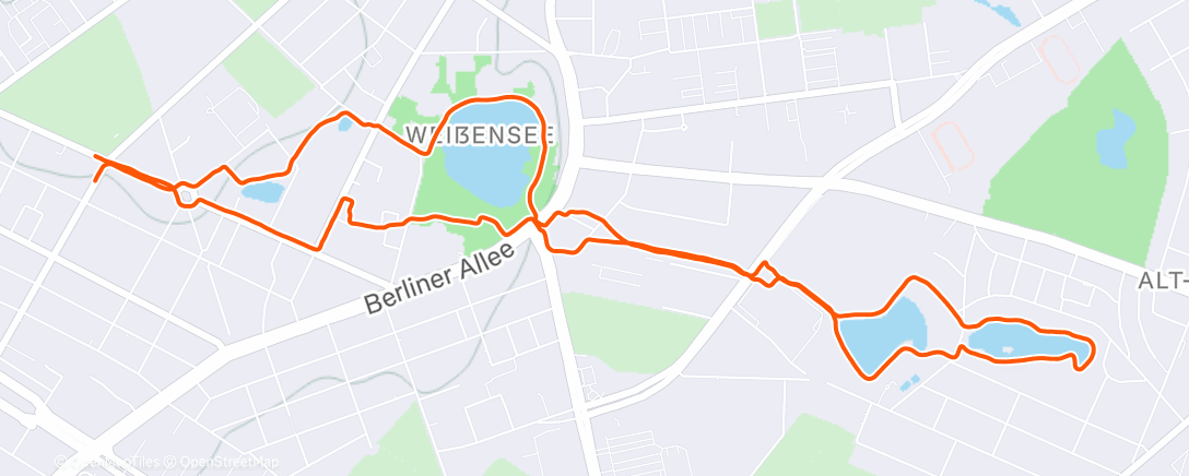 Map of the activity, Morning Run