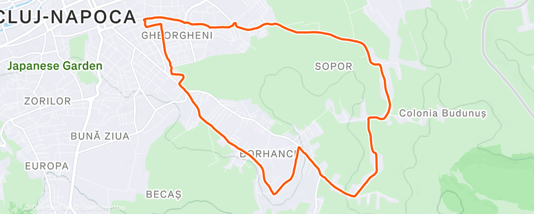 Map of the activity, Afternoon Trail Run