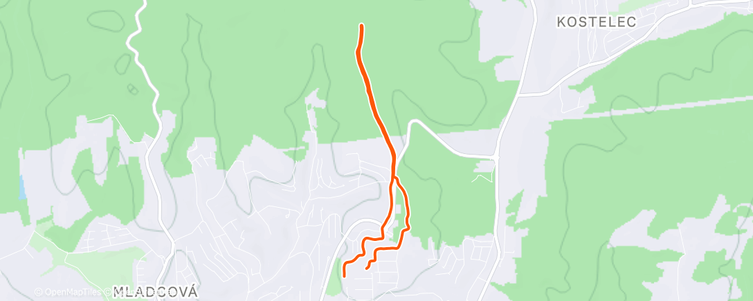 Карта физической активности (Morning Run)