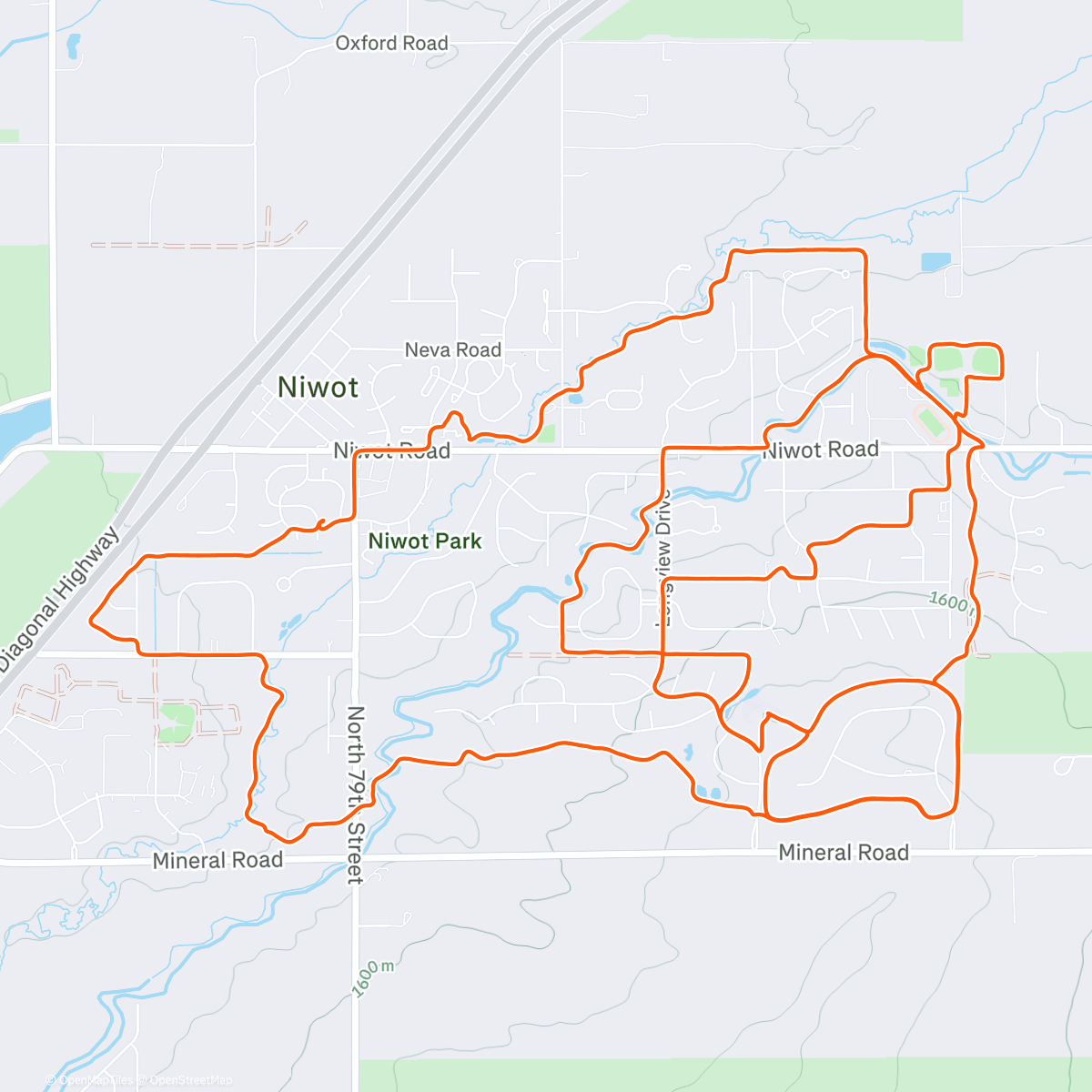 Map of the activity, 🎄Between 2 Trees 🎄