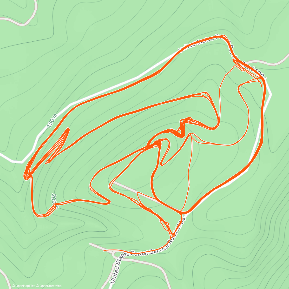 Map of the activity, TORTA Rip