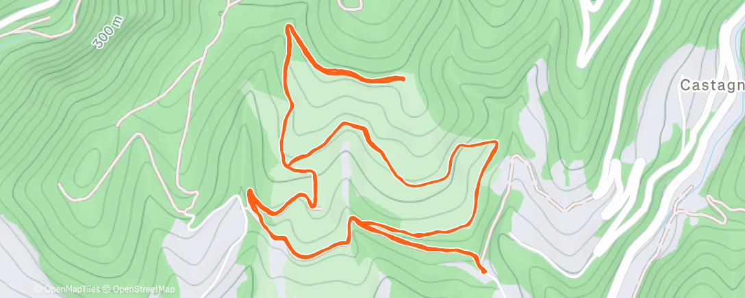 Карта физической активности (Trail running con Zoe)