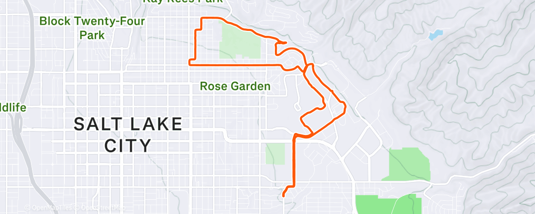 Карта физической активности (Lunch Ride)