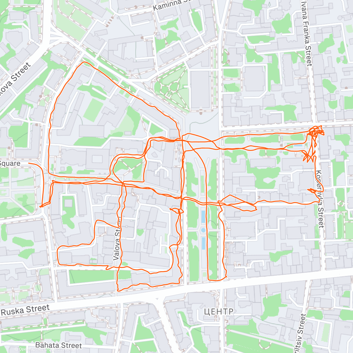 Карта физической активности (Вечерняя прогулка)