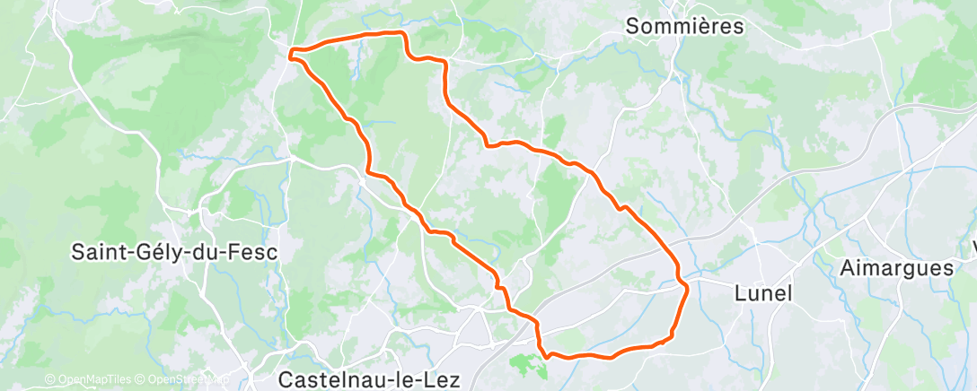 Карта физической активности (Morning Ride)