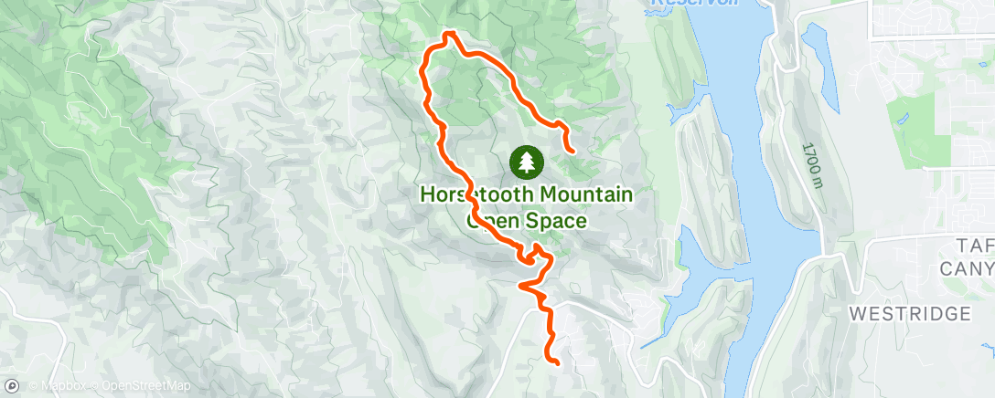 Map of the activity, Morning Run