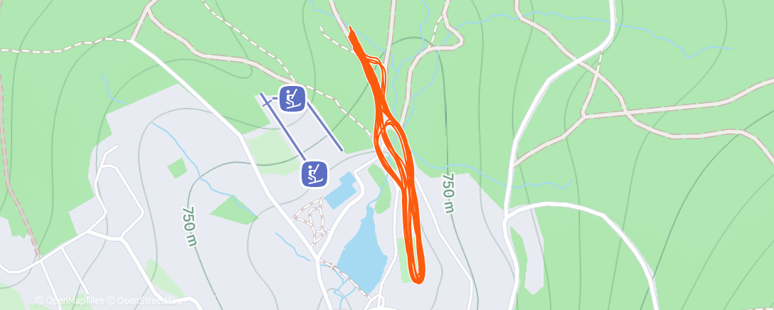 Карта физической активности (Slalom)