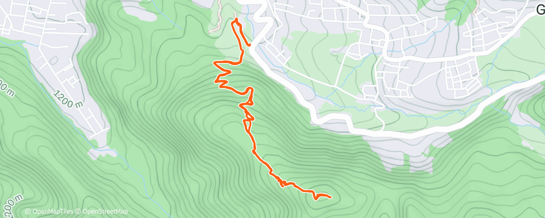 Map of the activity, Morning Trail Run