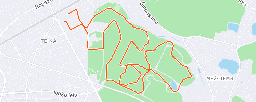 Карта физической активности (Lunch Trail Run)