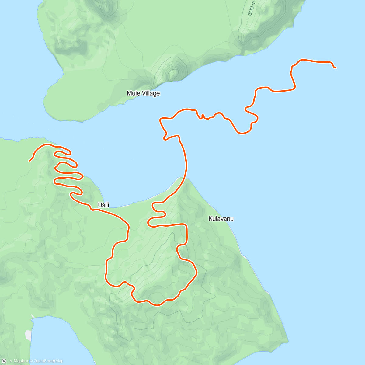 Carte de l'activité Zwift - Mountain Mash in Watopia