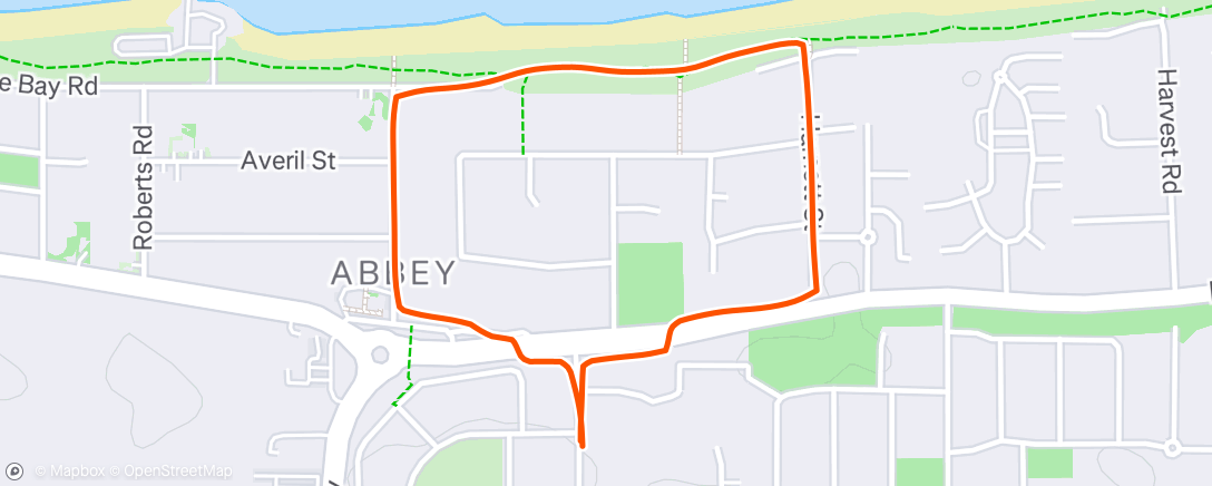 Map of the activity, Morning Run