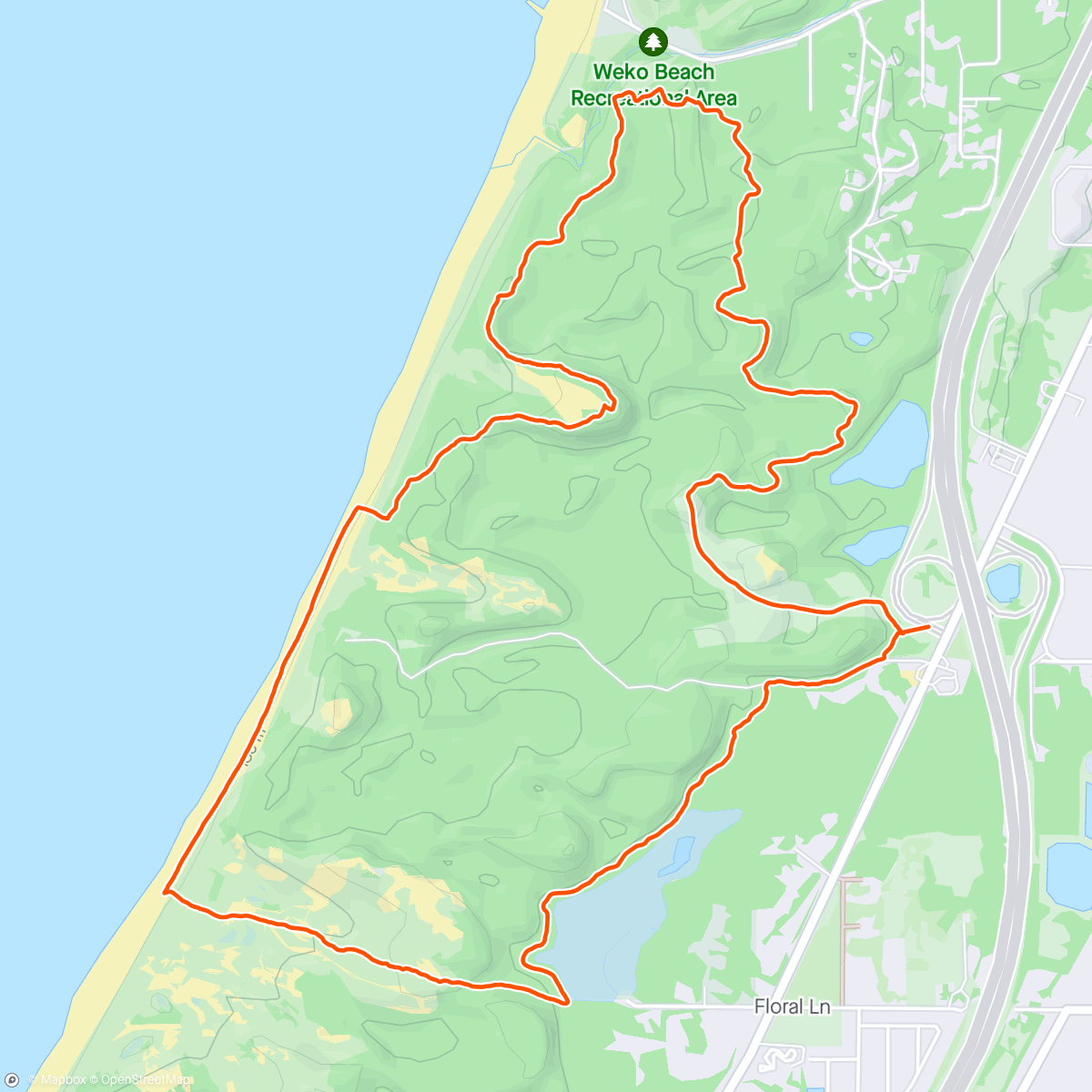 Map of the activity, Afternoon Hike with a special out of town guest