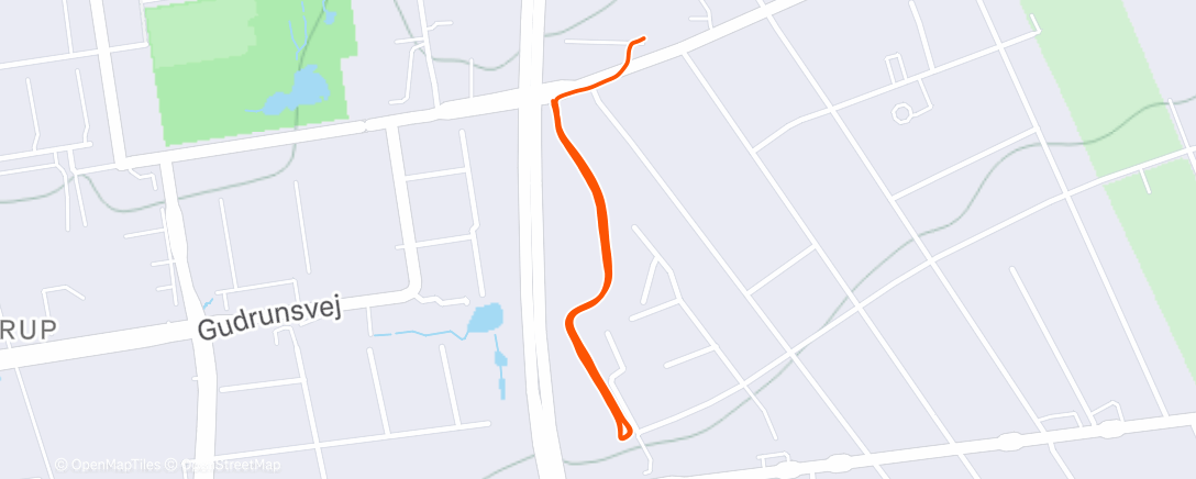 Карта физической активности (Afternoon Run)