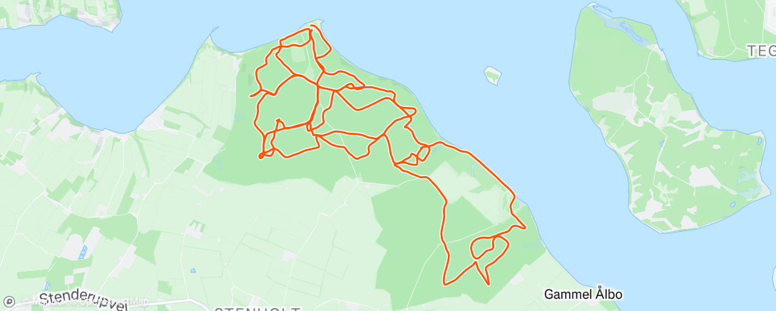 Map of the activity, DM ultra 🥈