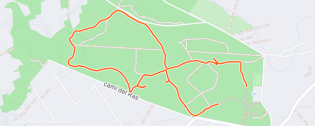 Map of the activity, Lunch Walk