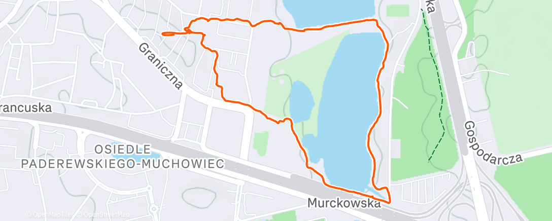 Карта физической активности (Morning Walk)