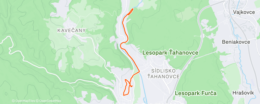 Карта физической активности (Lunch Run)