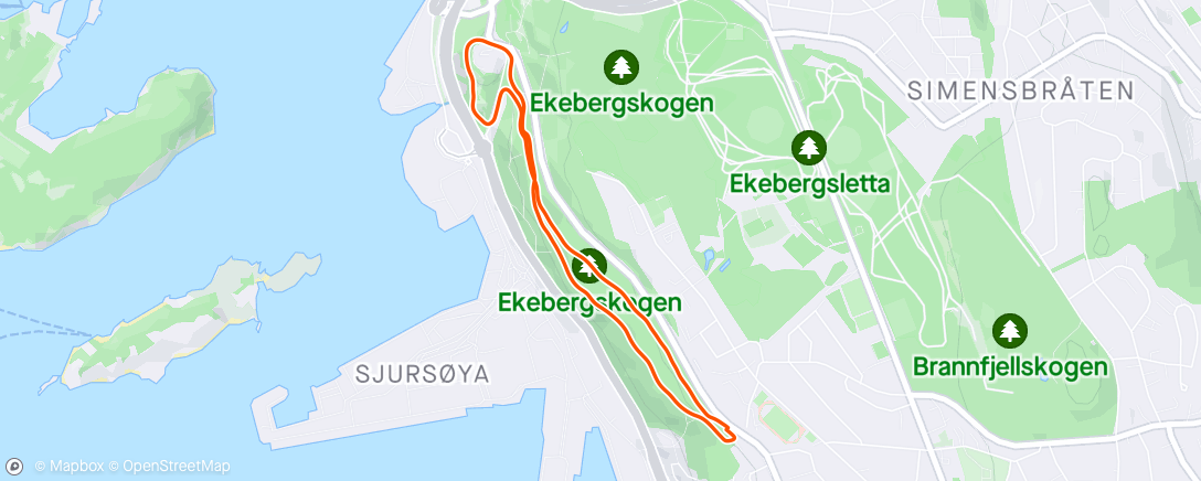 Mappa dell'attività Forsøk på å røke ut alle skadene pt 128