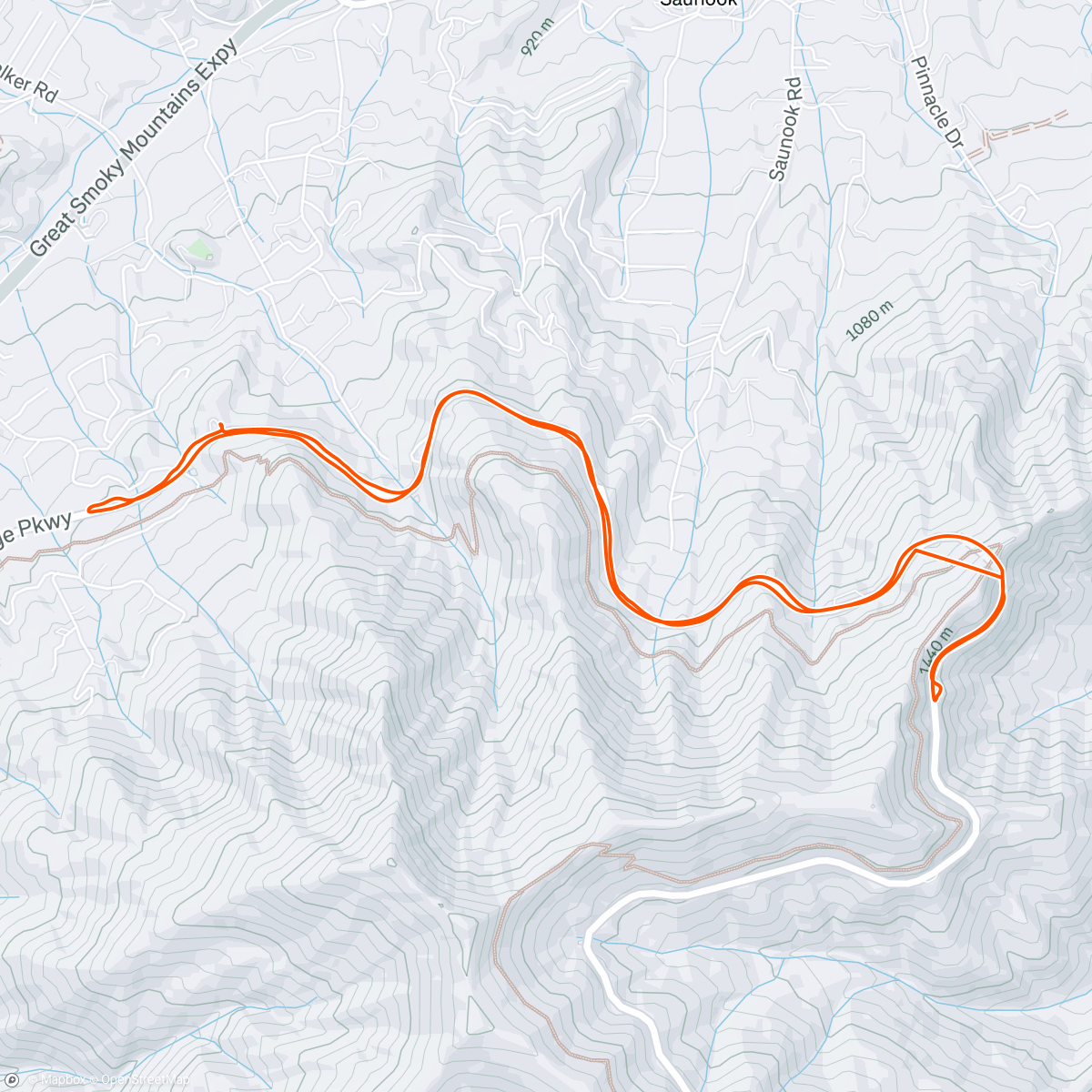 Map of the activity, BRP - Cove Field Ridge
