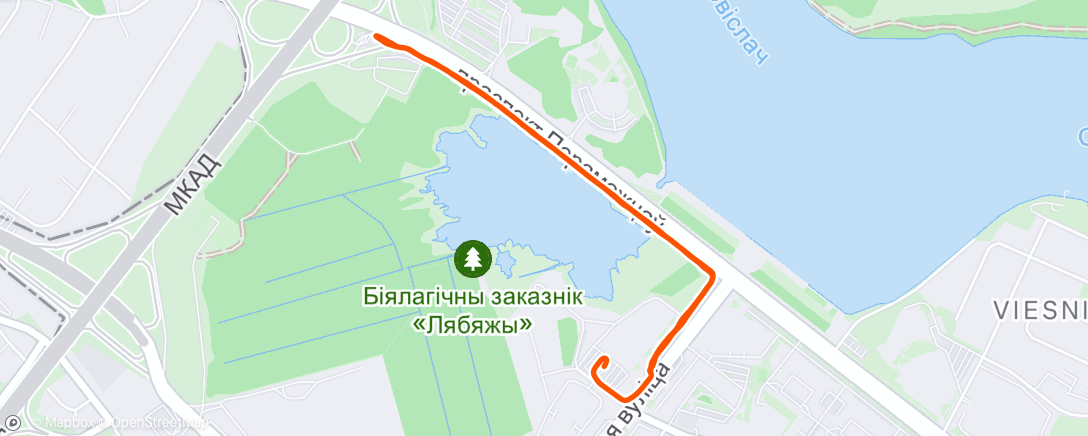 Map of the activity, Полуденный забег
