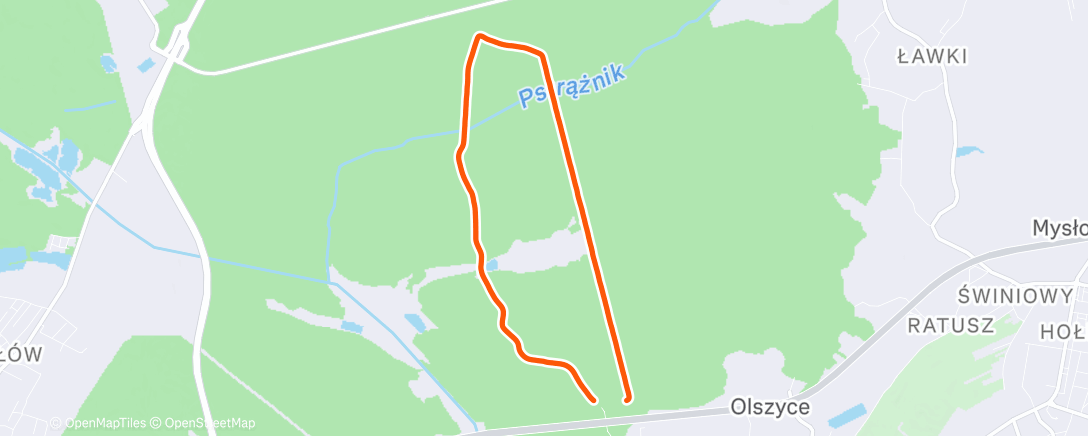 Map of the activity, Morning Run