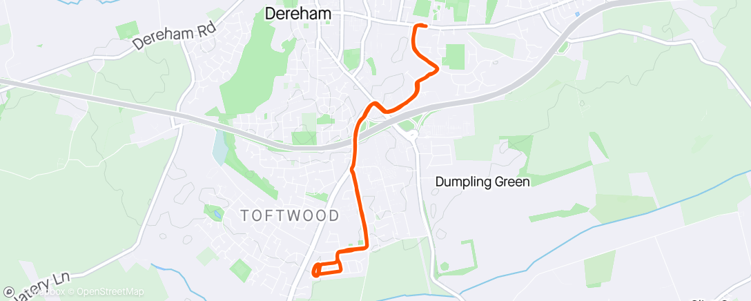 Map of the activity, Evening Run with a cold 🤧