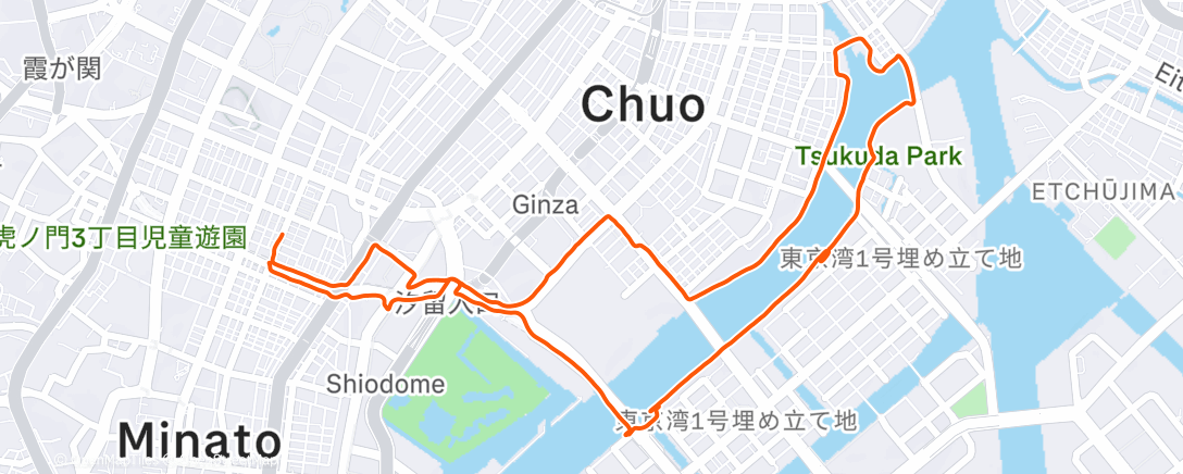 Карта физической активности (Perfect morn in Tokyo)