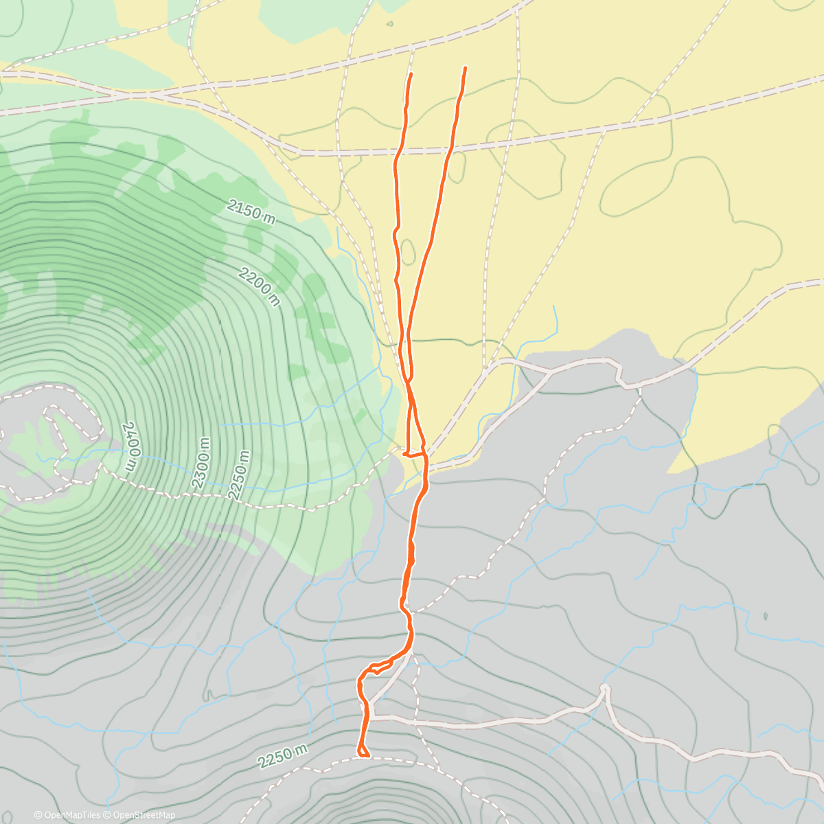 Карта физической активности (Morning Walk)