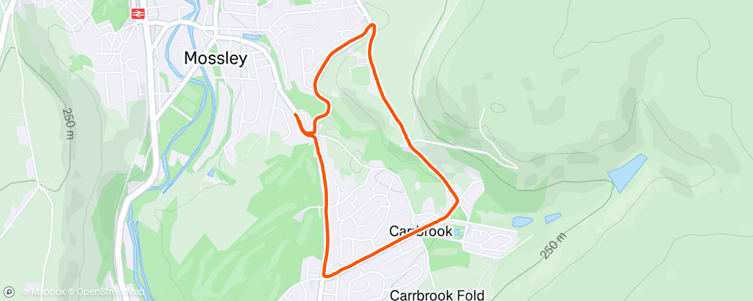 Map of the activity, Morning Run