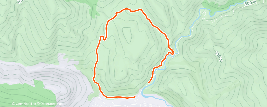 Карта физической активности (Circle)